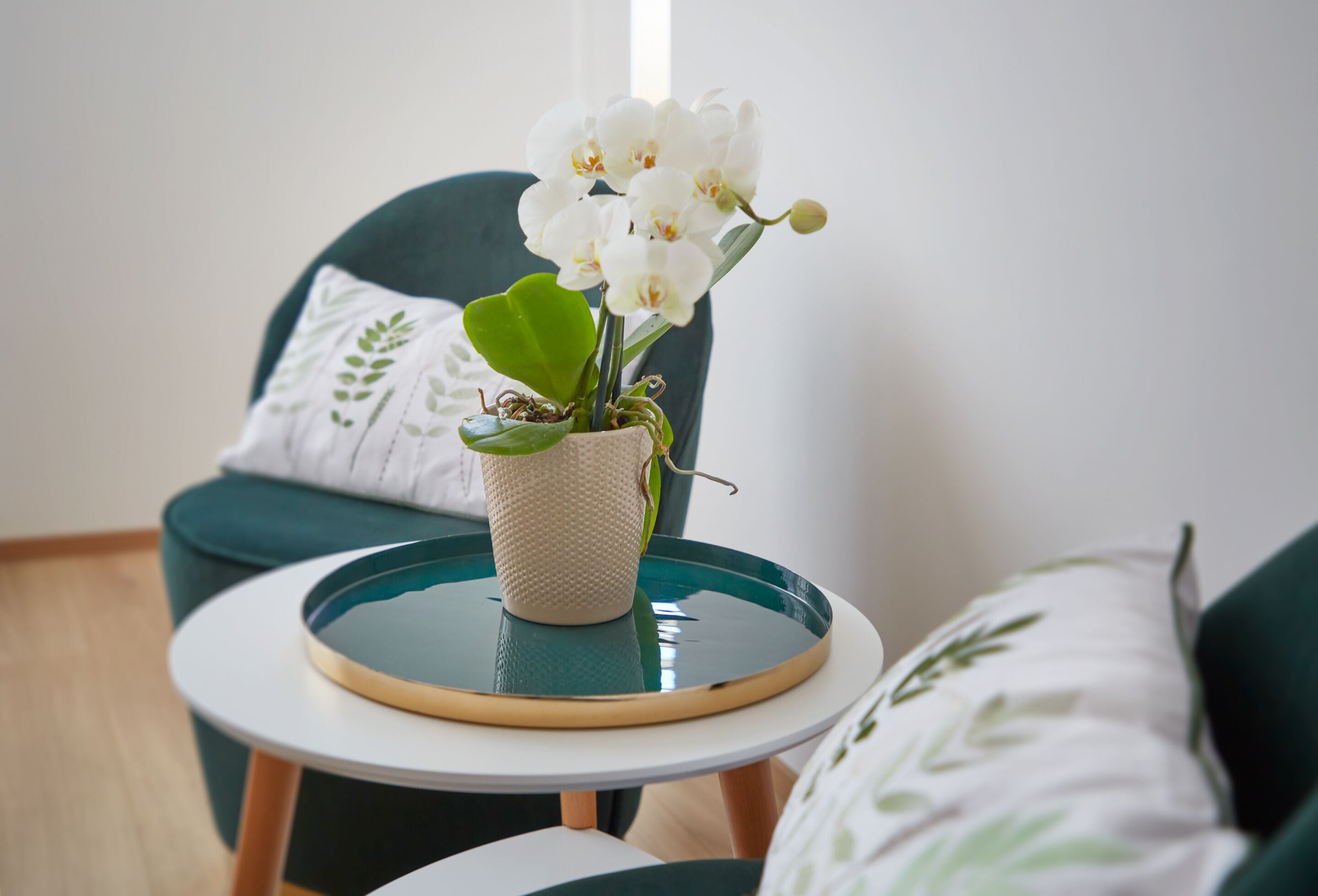 studio | in-room safe, desk, blackout curtains, soundproofing