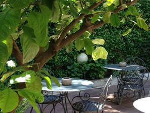 Vierbettzimmer | Terrasse/Patio
