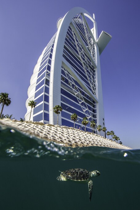 Jumeirah Burj Al Arab Dubai - Image 86
