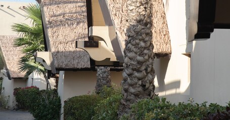 Jumeirah Beach Hotel Dubai - Image 21