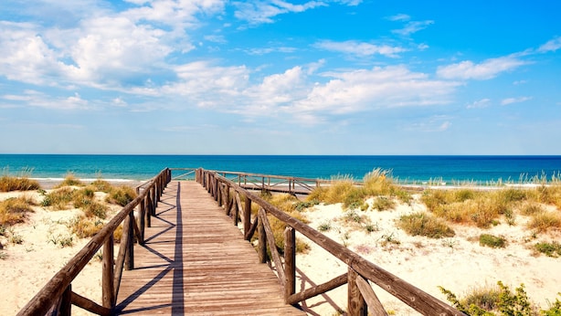 Un muelle de madera que conduce a una playa con cielos despejados.