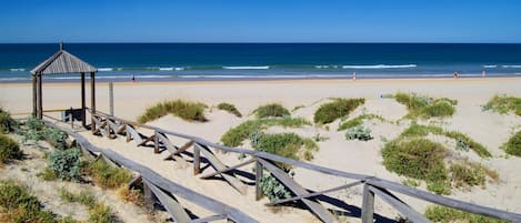 Playa en los alrededores 