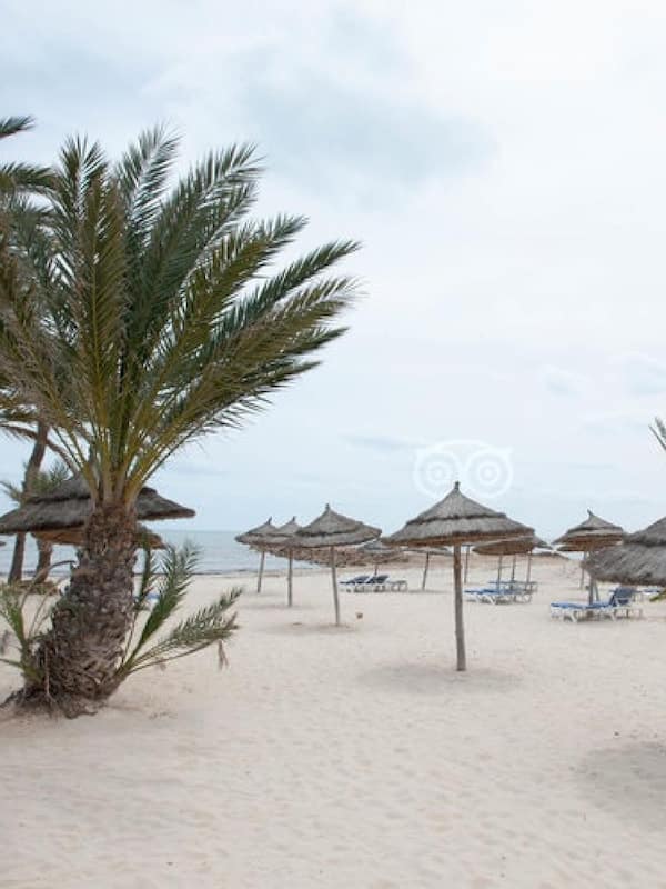 On the beach, scuba diving, windsurfing