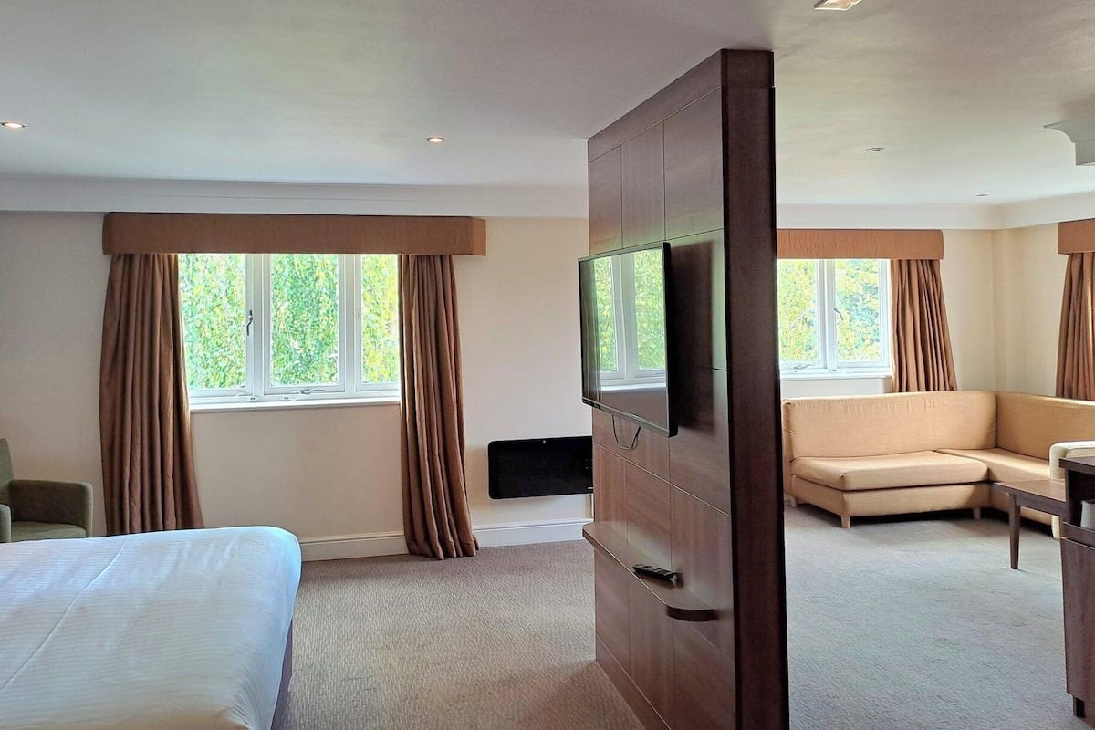 Suite, 1 King Bed with Sofa bed