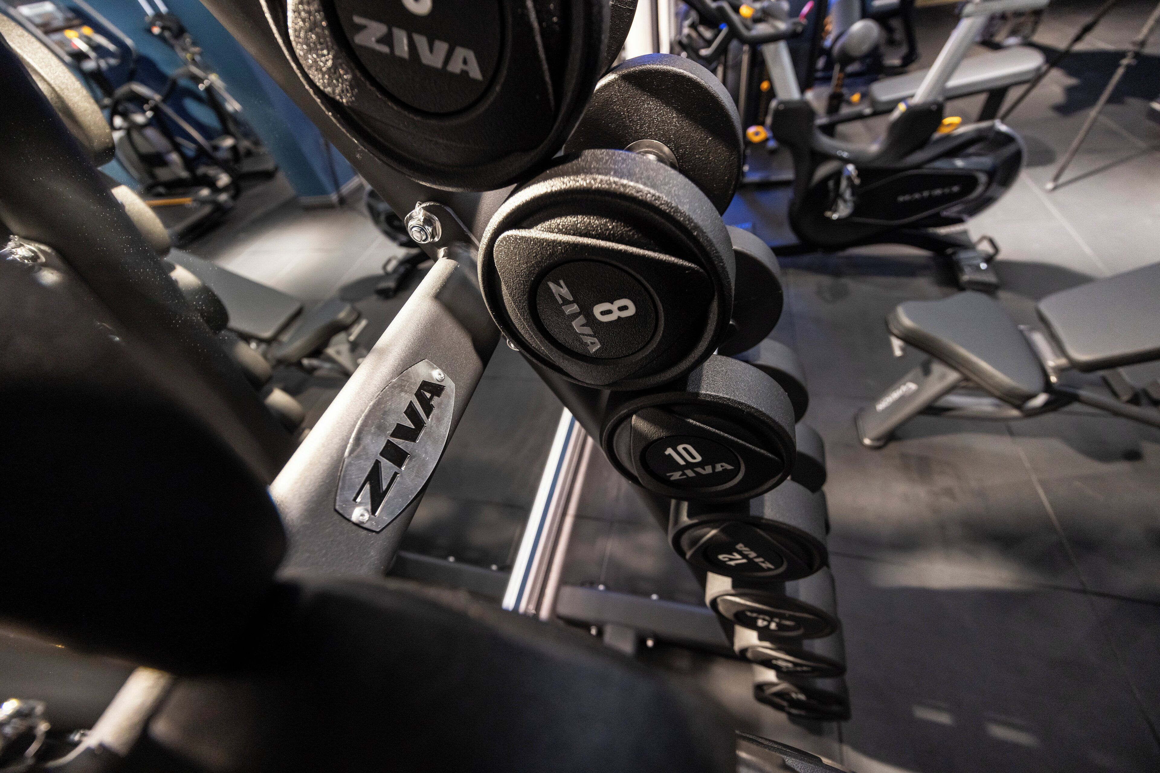 A gym with weightlifting equipment, including dumbbells and a bench.