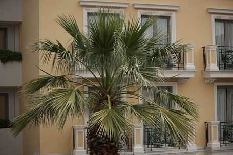 Electra Palace Athens - Image 82