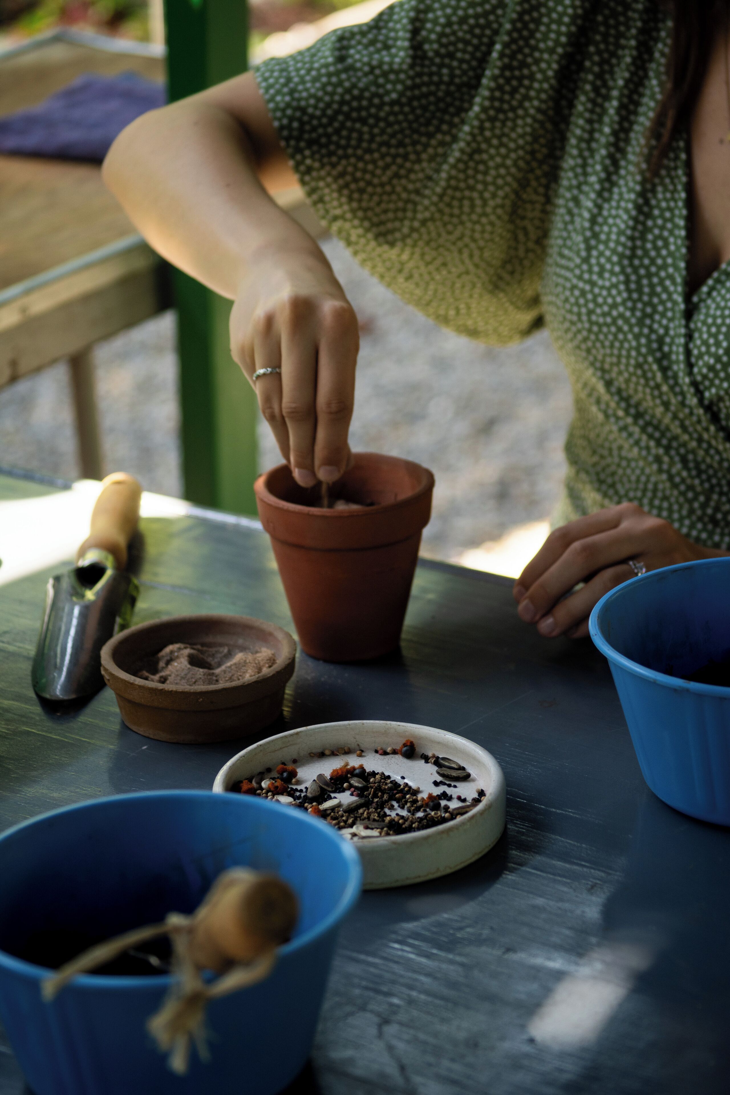 A person planting a flower in a terracotta pot.