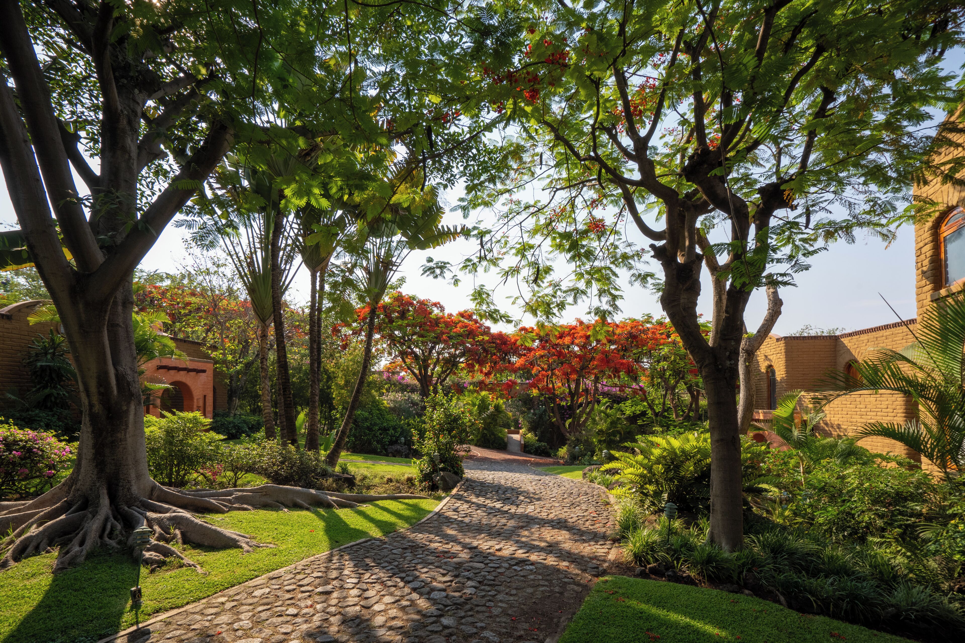 A garden pathway leading to a building with a brick facade.