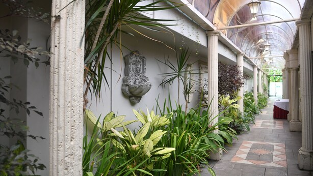 Un couloir doté d’un plafond en verre, de colonnes et de diverses plantes.