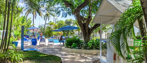 Outdoor pool, pool umbrellas