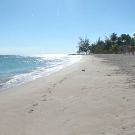 A beach with a clear sky, calm sea, and a building with a palm tree in the background.