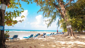 Une plage bordée de rangées de chaises longues bleues et un arbre sur lequel est accrochée une pancarte.