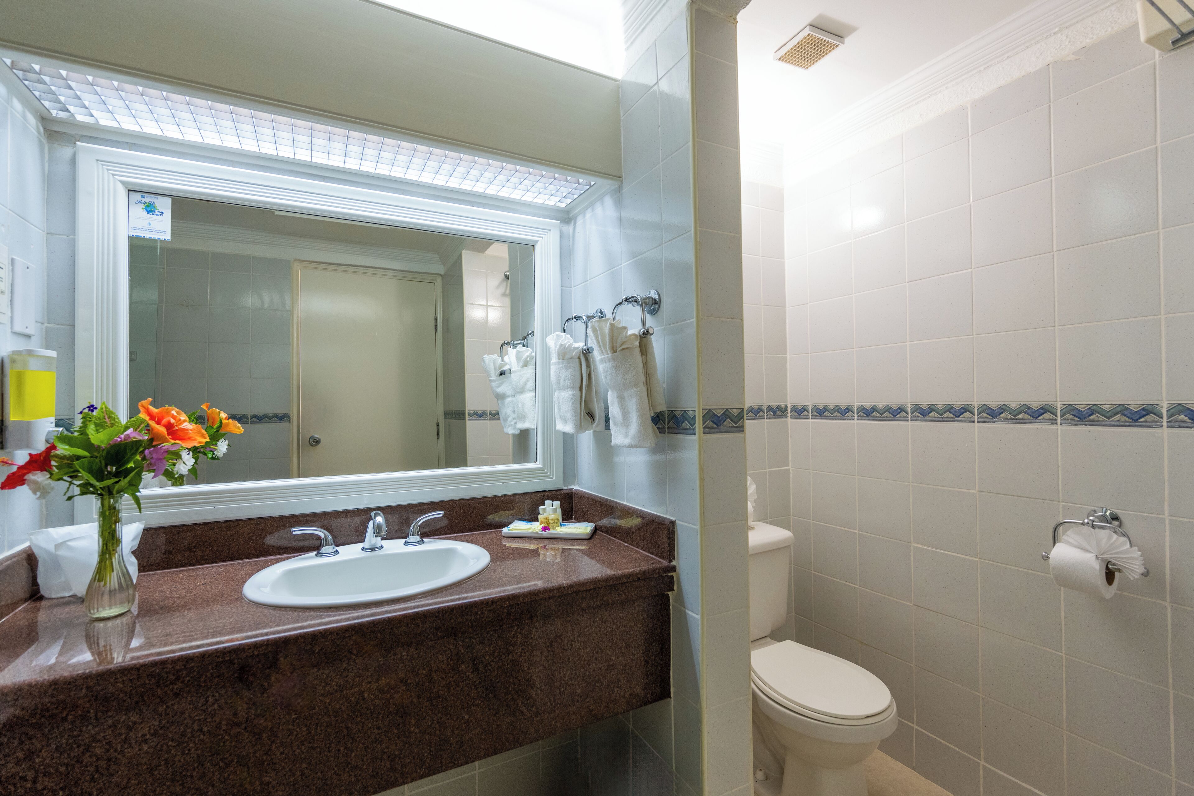 Une salle de bain équipée d’un lavabo, d’un miroir, de toilettes et d’un porte-serviettes.