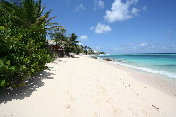 Plage à proximité, sable blanc, chaise longue, parasol