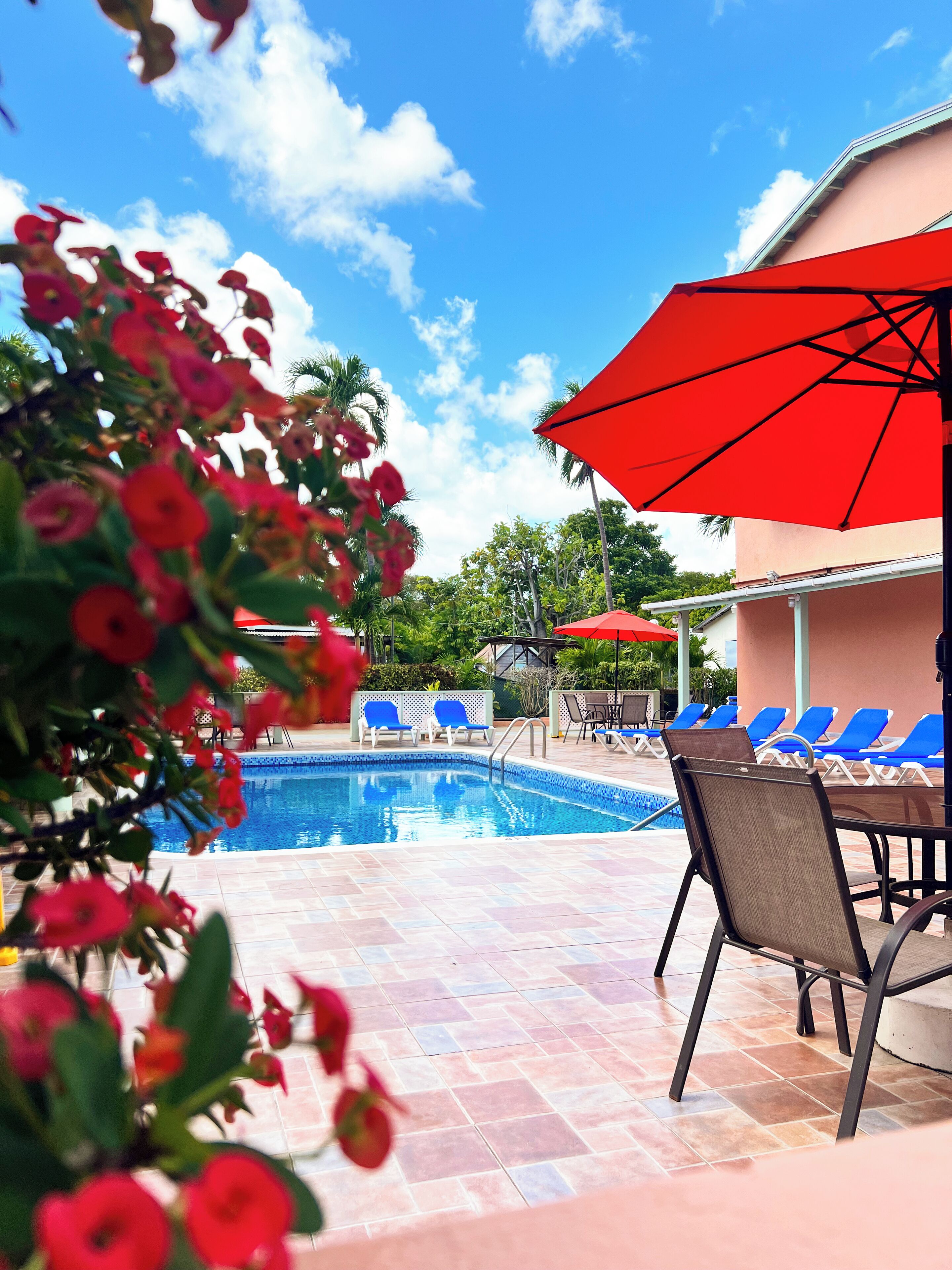 Utendørsbasseng og bassengparasoller