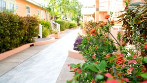 A pathway flanked by lush greenery and flowering plants, leading to a building with a light orange facade. - Worthing Court Apartment Hotel (Worthing)