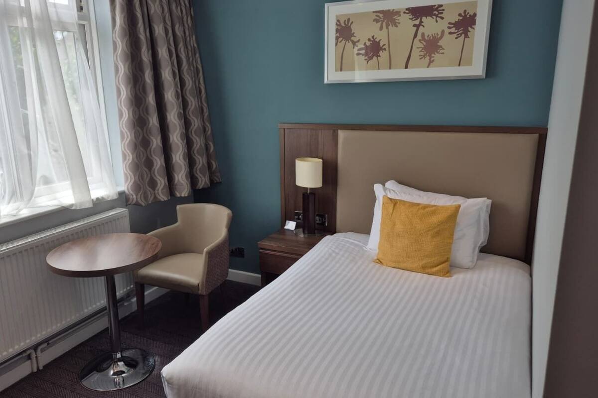 Standard Room, 1 Twin Bed, Non Smoking | Desk, iron/ironing board, WiFi (free), bed sheets