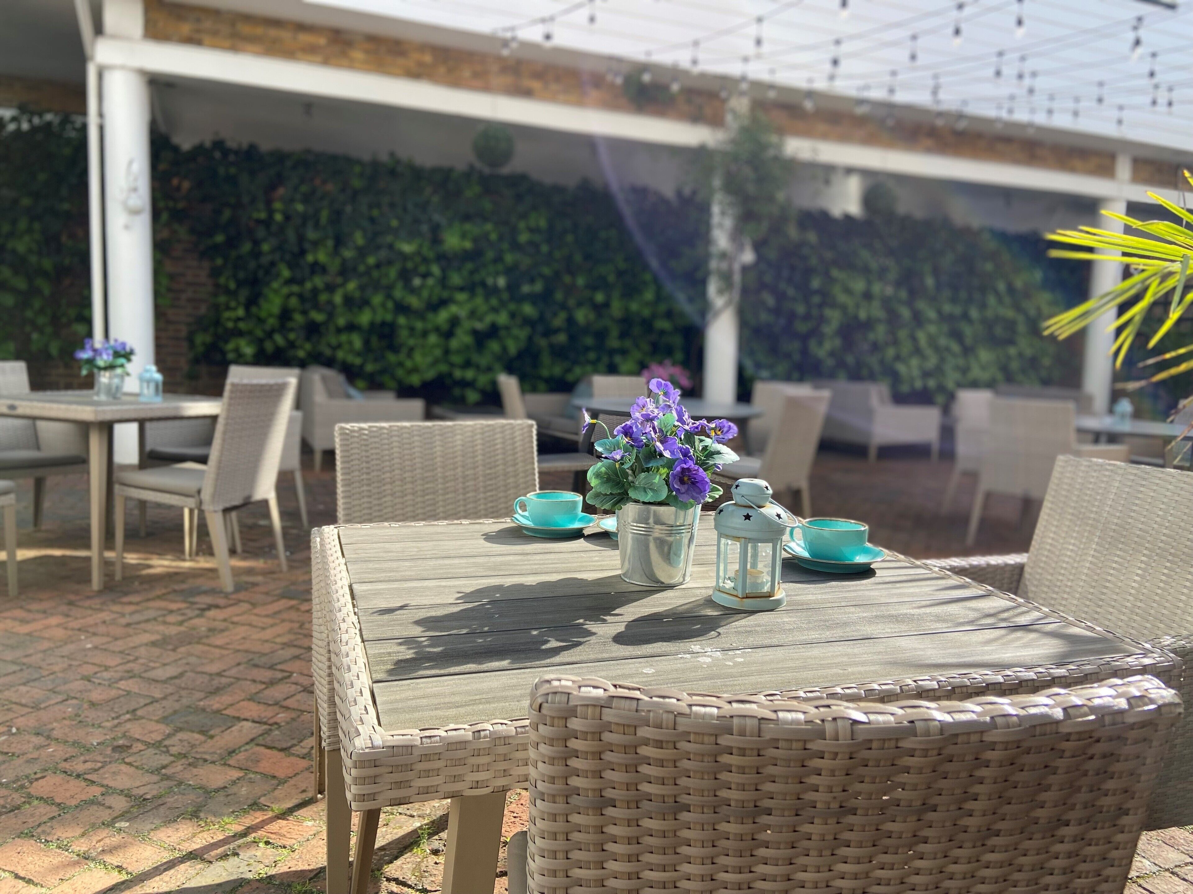 Terraza o patio