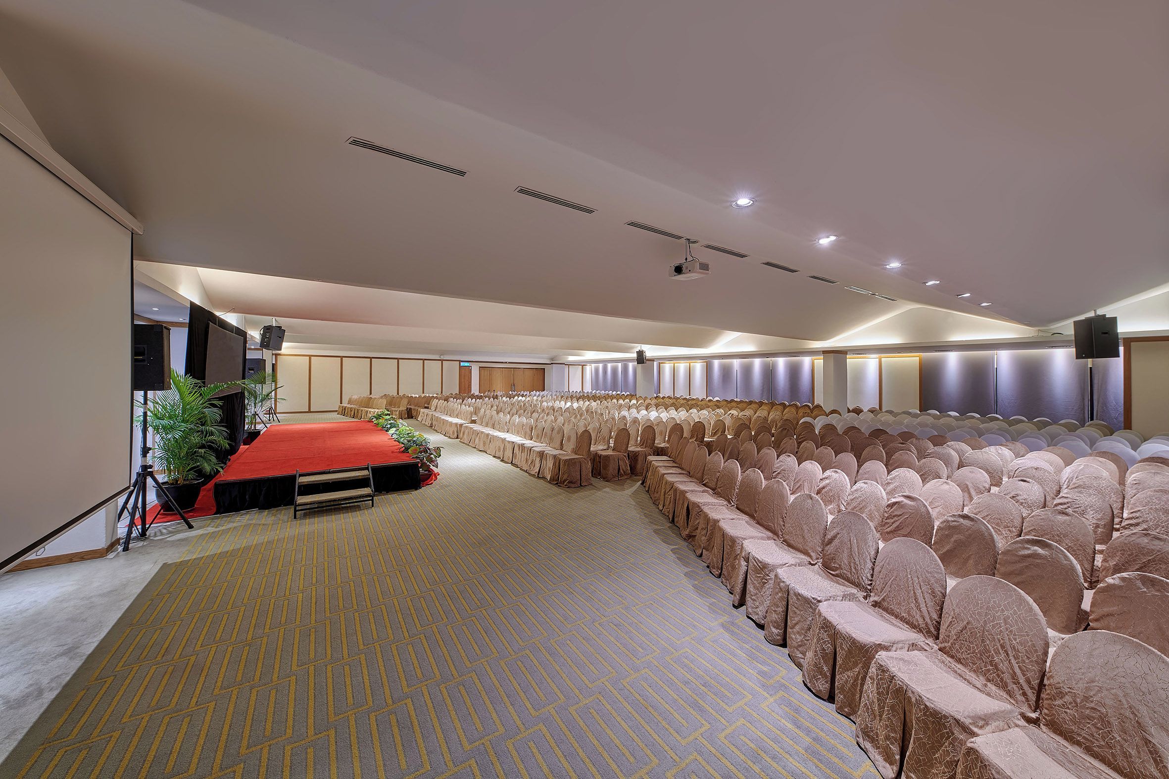 A conference room with rows of chairs, a stage with a red carpet, and a projector.