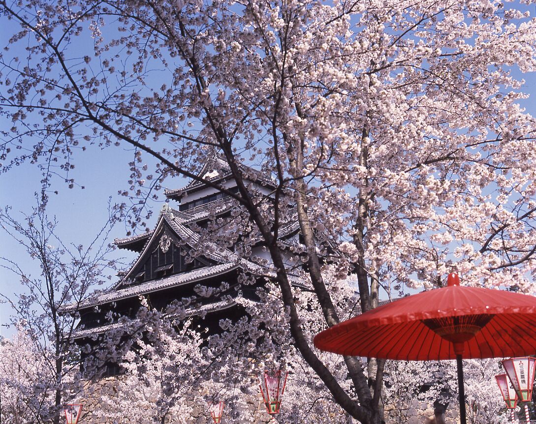 land view from property