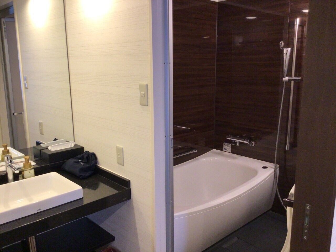 combined shower/bathtub, deep-soaking bathtub, free toiletries