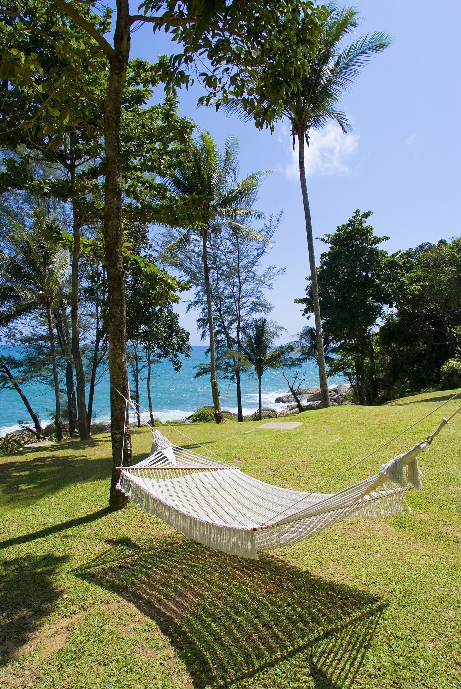 A hammock in a grassy area with trees and a view of the ocean.