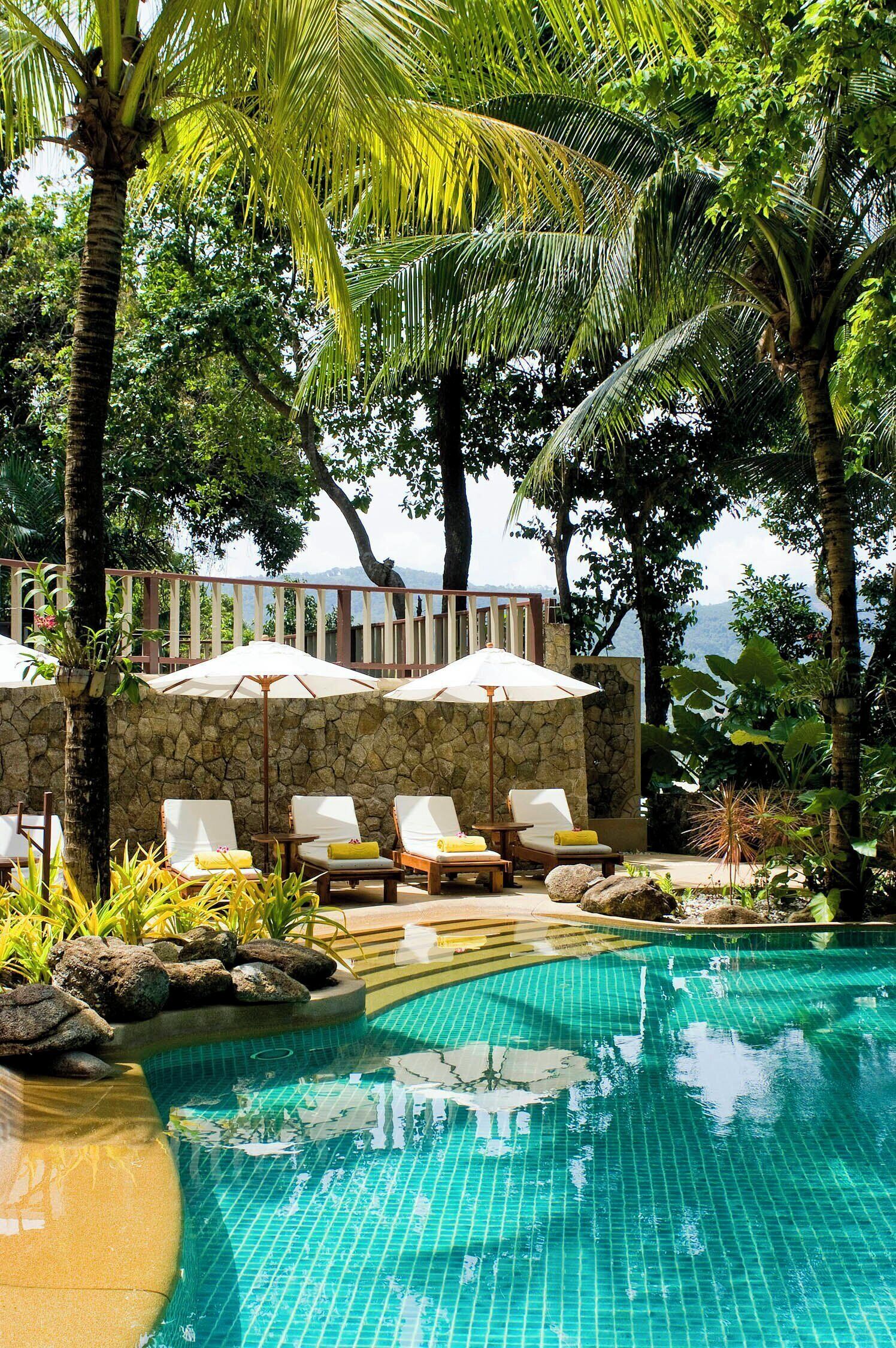 A pool area with lounge chairs and umbrellas, surrounded by palm trees and a stone wall.