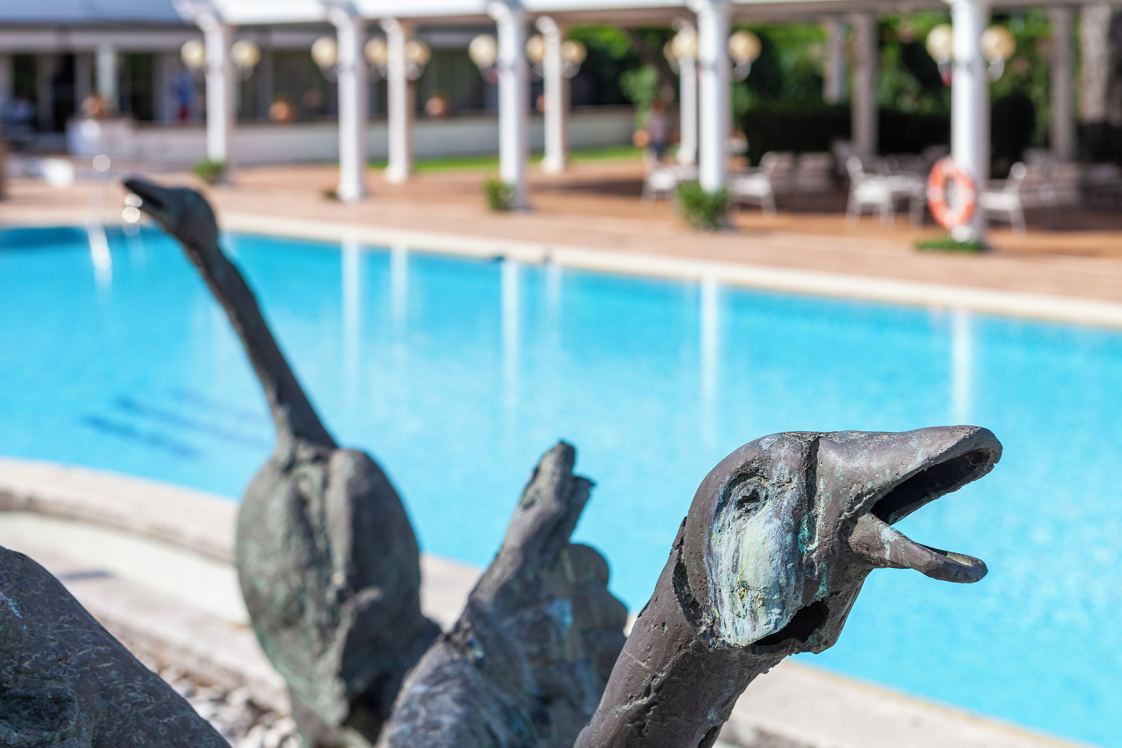 Ein Poolbereich mit einer Delfin-Skulptur und Liegestühlen.