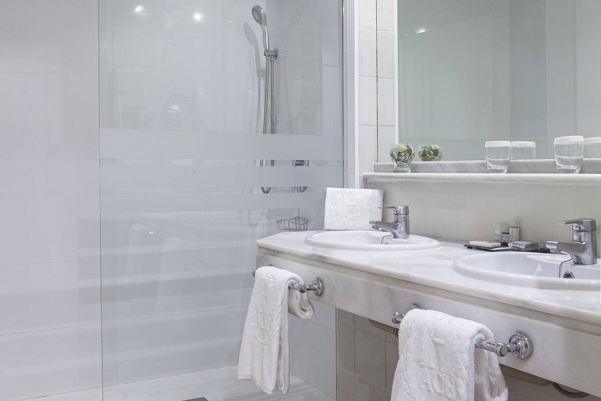 hair dryer, bidet, towels, soap