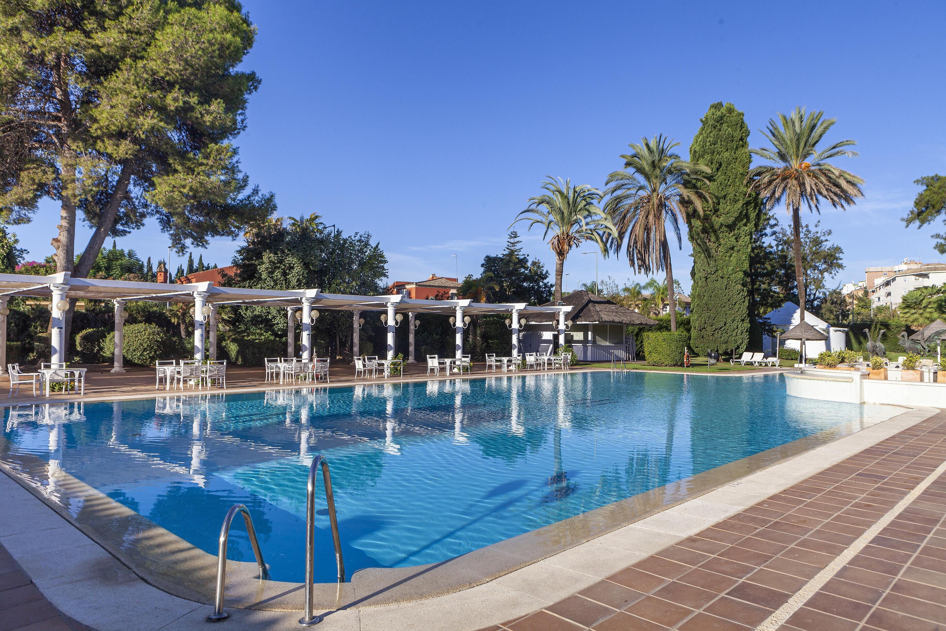 Piscina con sillas de descanso y sombrillas, rodeada de palmeras y un cielo despejado.