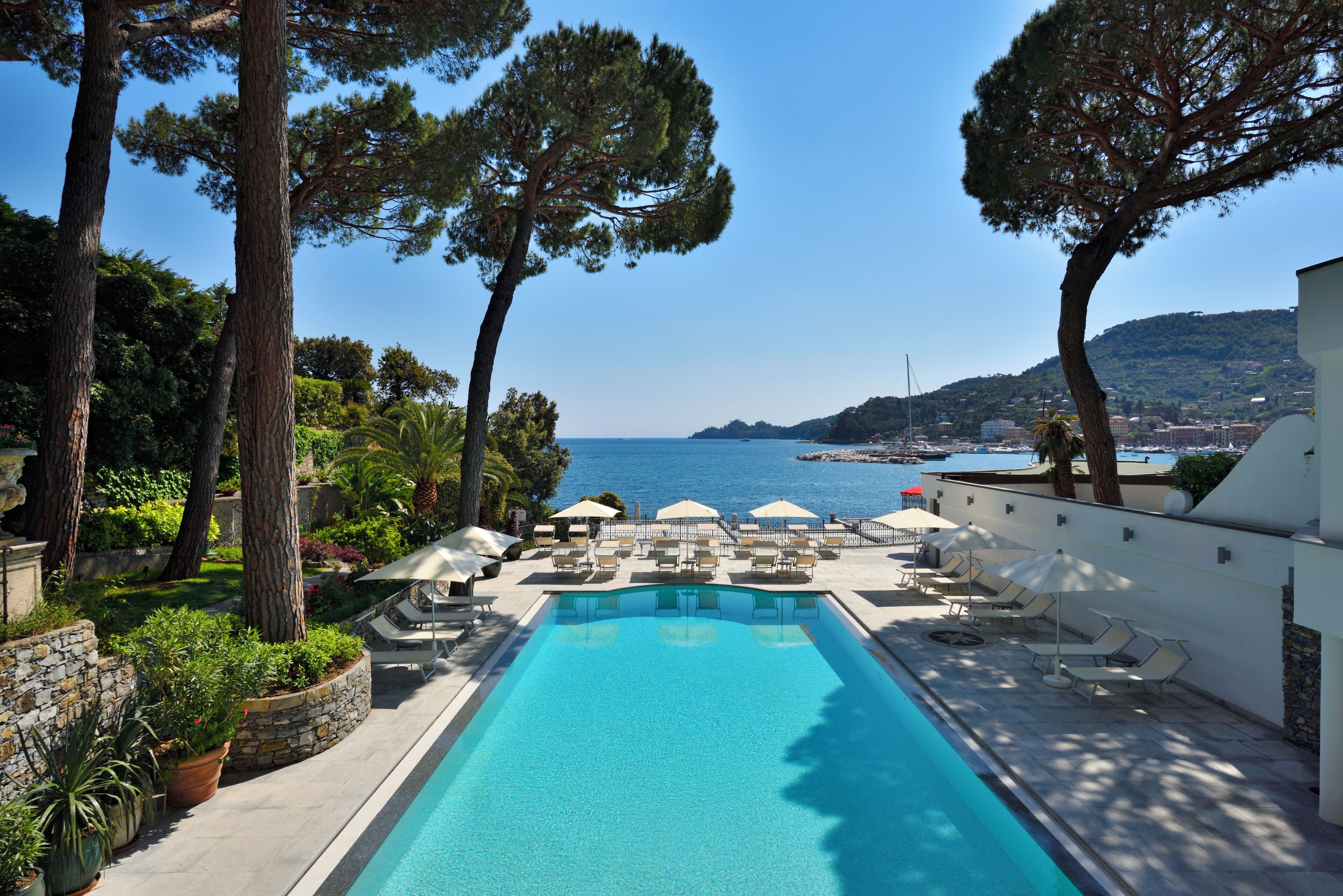 Outdoor pool, pool loungers