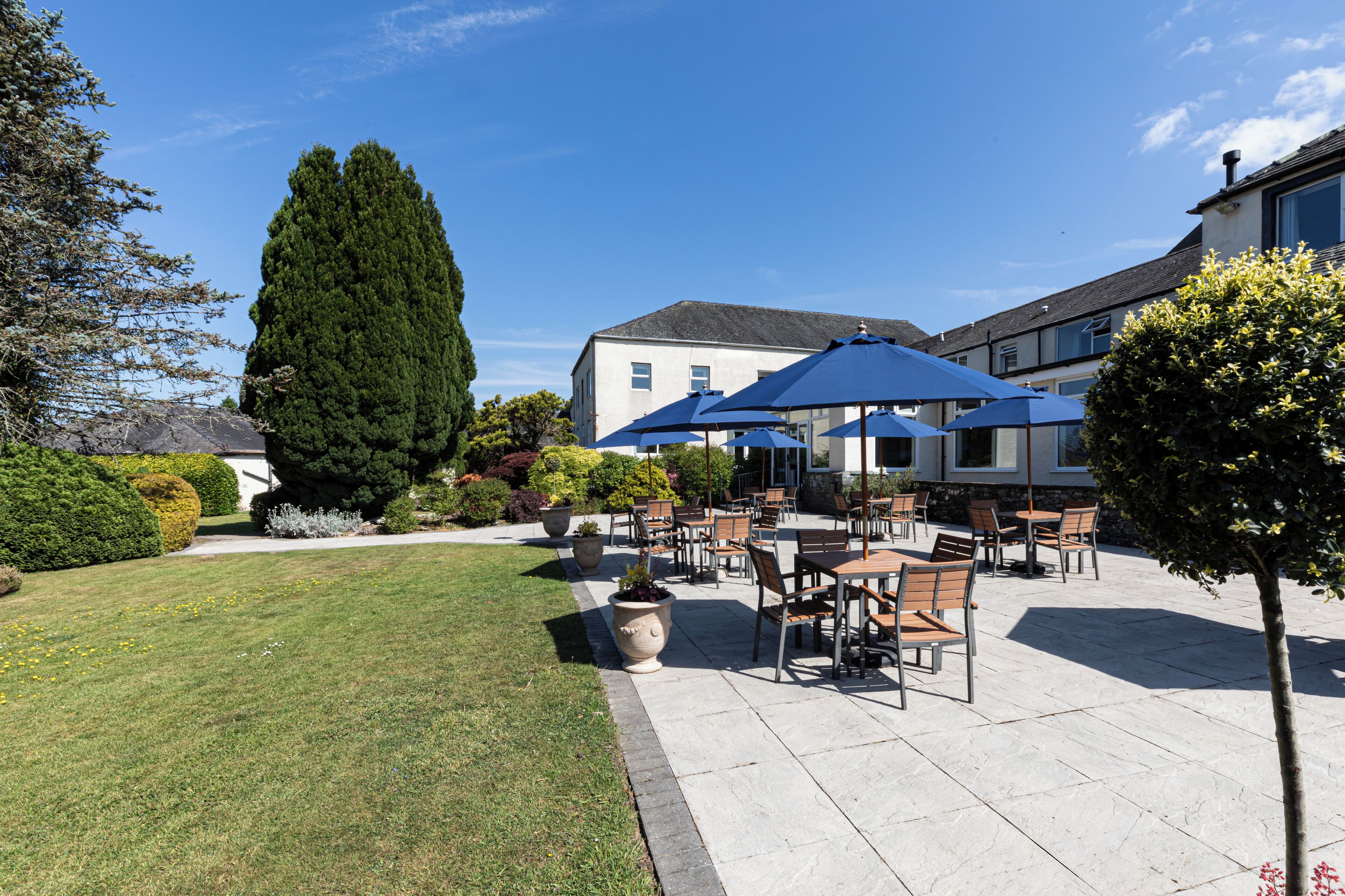 A patio area with outdoor seating, a large tree, and a building in the background.