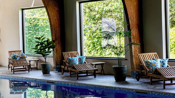 A poolside area with wooden lounge chairs and potted plants, large windows, and a view of greenery.