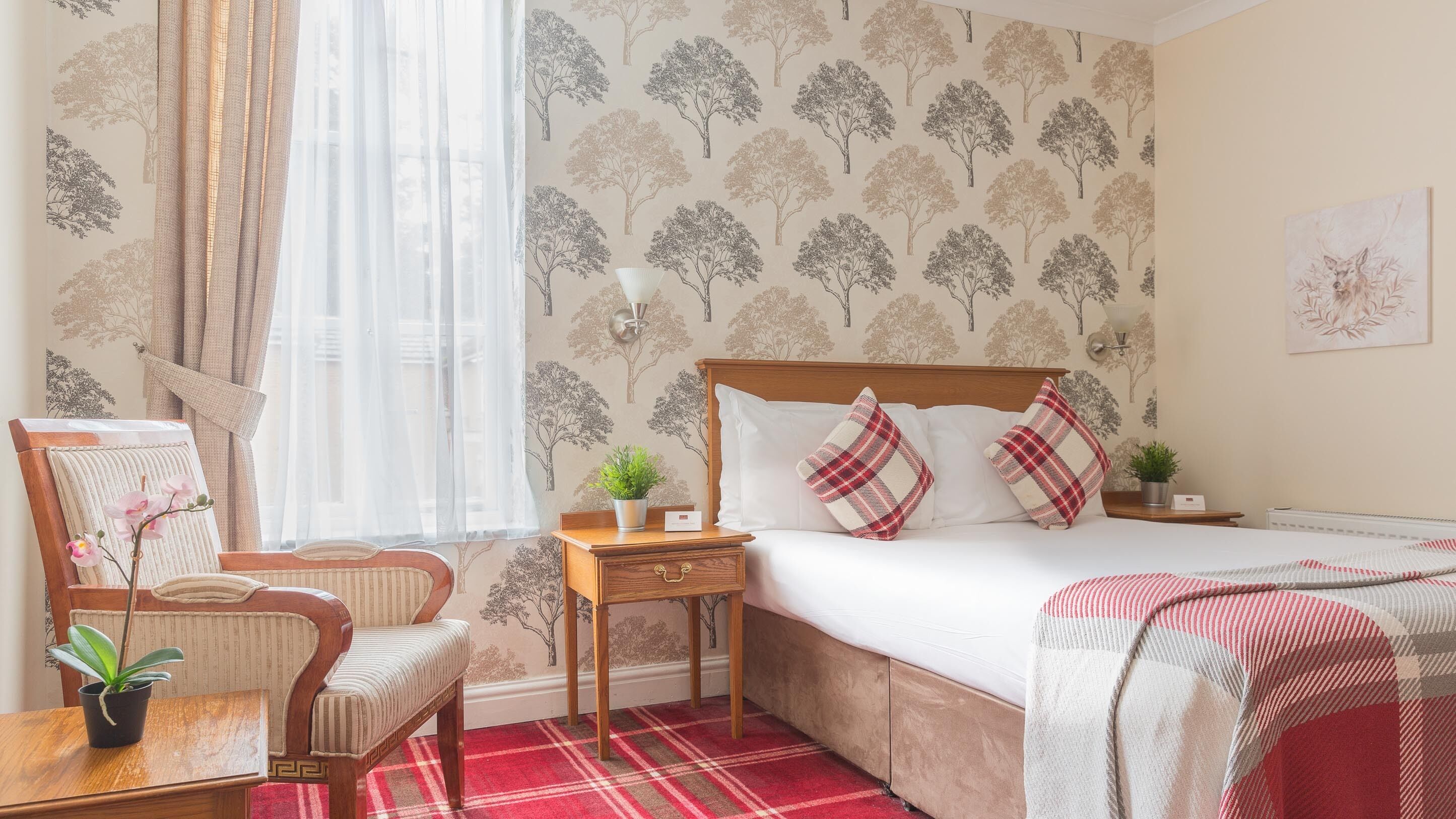 A hotel room with a bed, a chair, a nightstand, a lamp, and a window with sheer curtains.