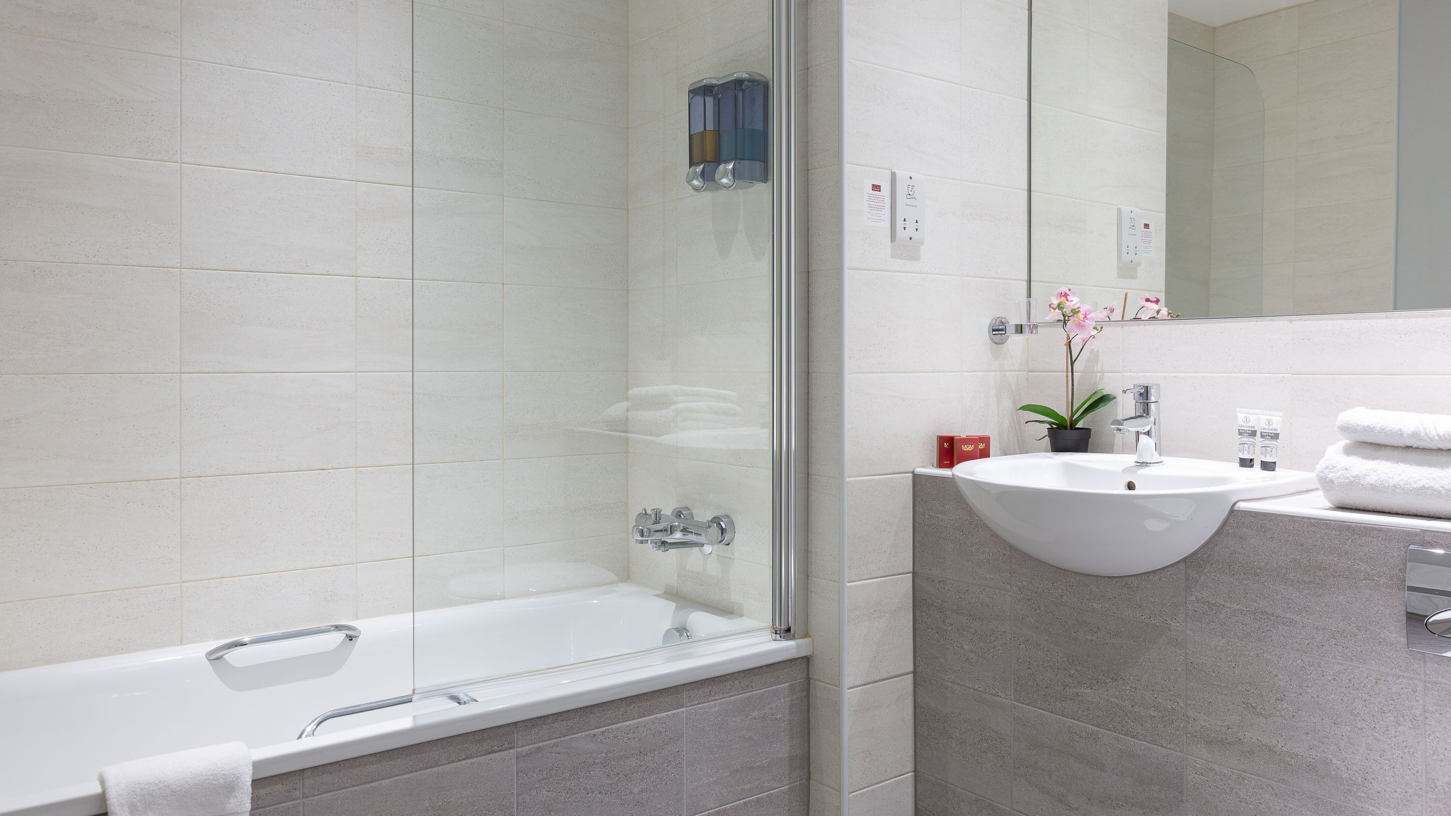 A modern bathroom with a glass-enclosed shower, a white sink, and a potted orchid.