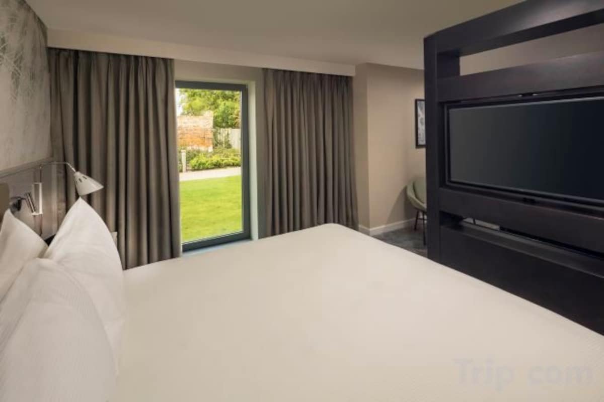 Deluxe Family Room with Sofa Bed