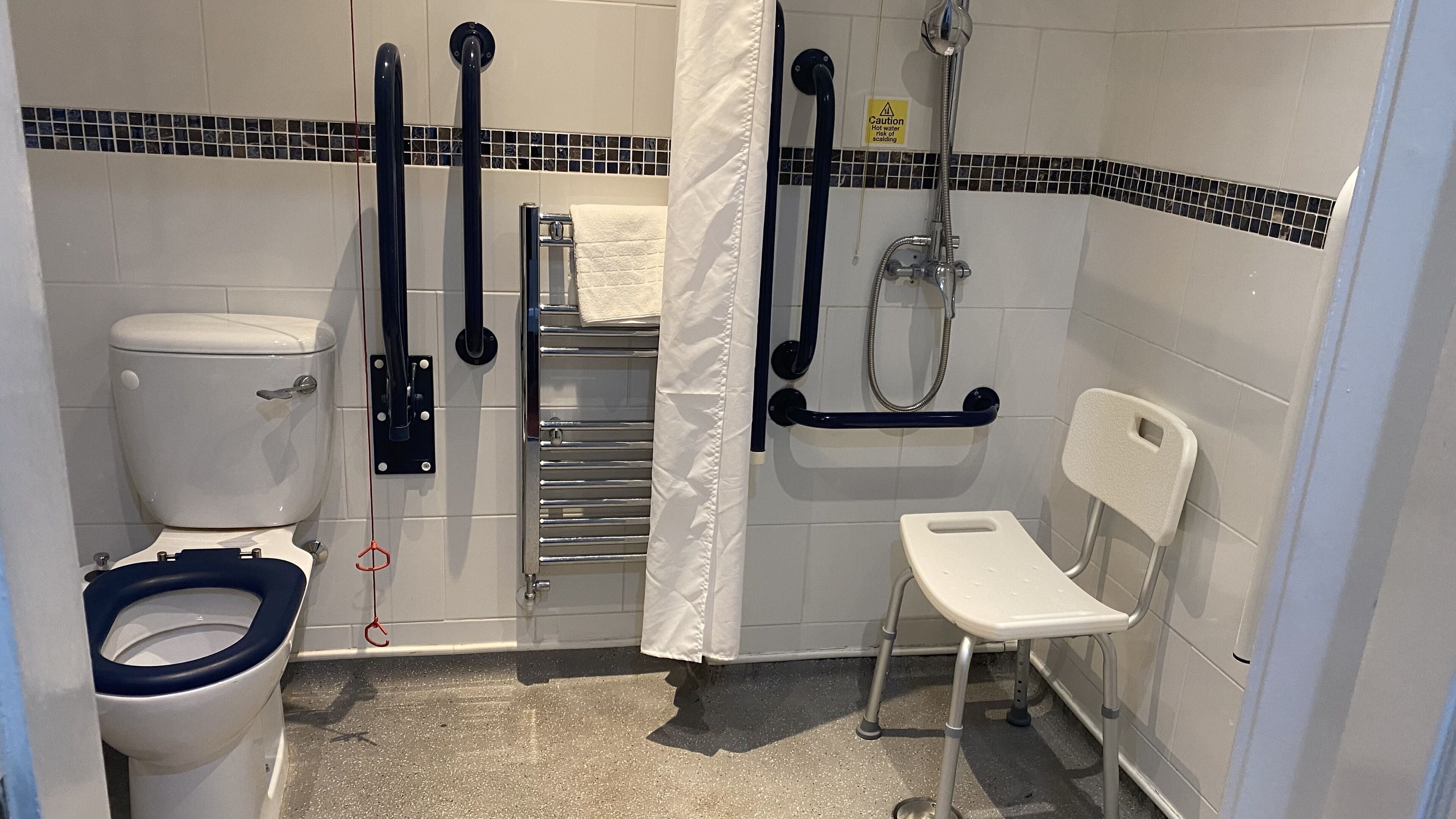 A bathroom with a toilet, grab bars, a shower, and a wheelchair-accessible bench.