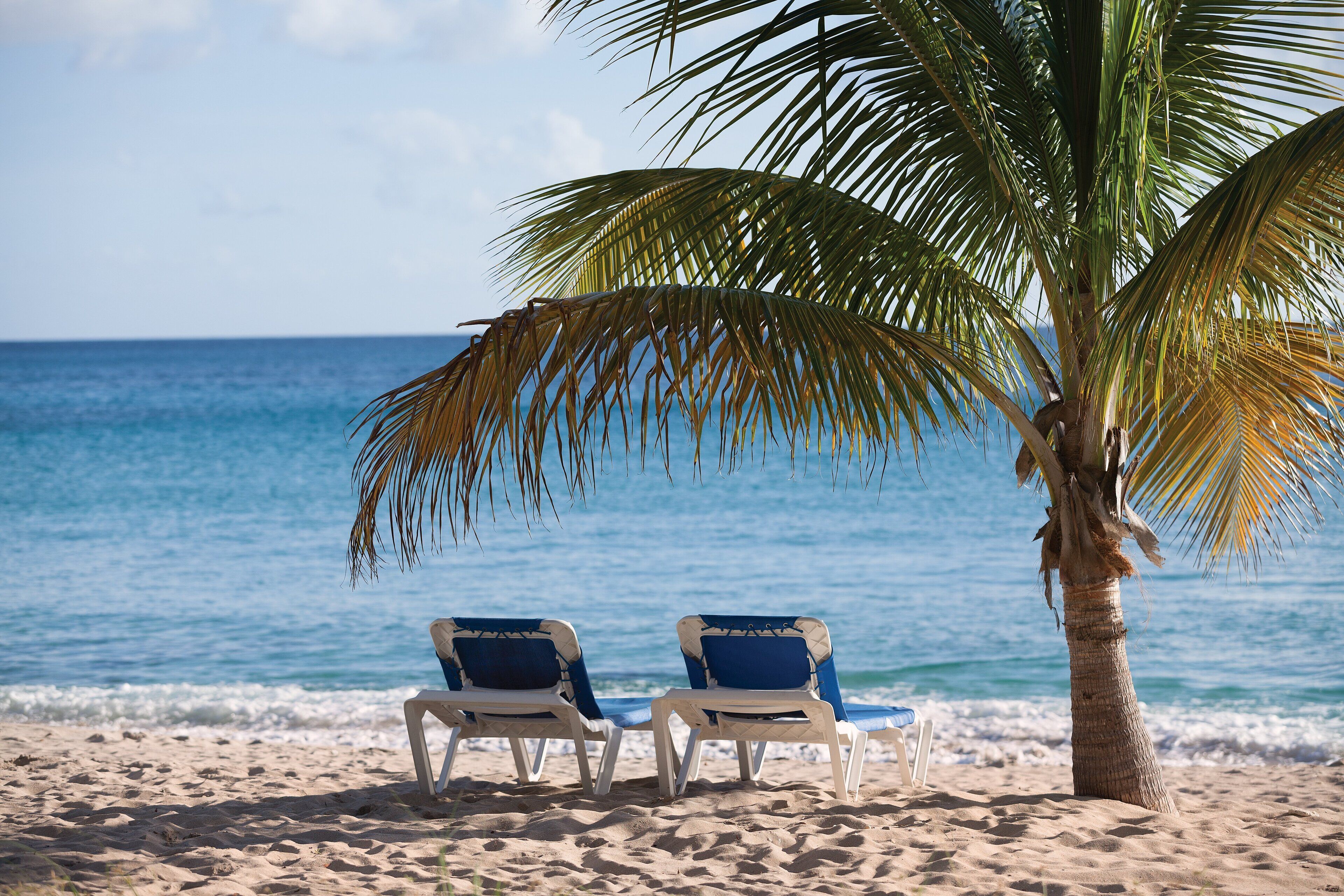 Zwei Liegestühle unter einer Palme an einem sandigen Strand, mit dem Ozean im Hintergrund.