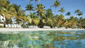 Ein Strand mit klarem, seichtem Wasser, einem Seestern und Palmen.