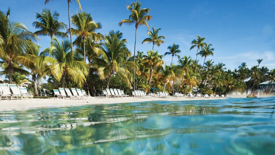 Club Wyndham Elysian Beach Resort