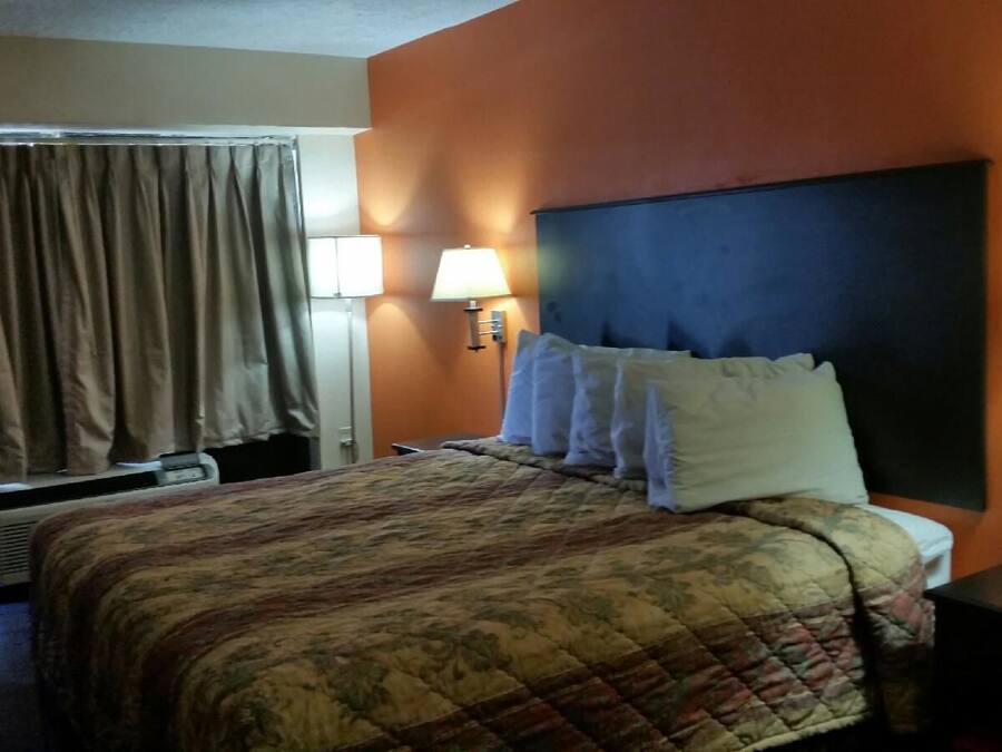 A hotel room with a bed, two bedside lamps, a headboard, and a window with curtains.