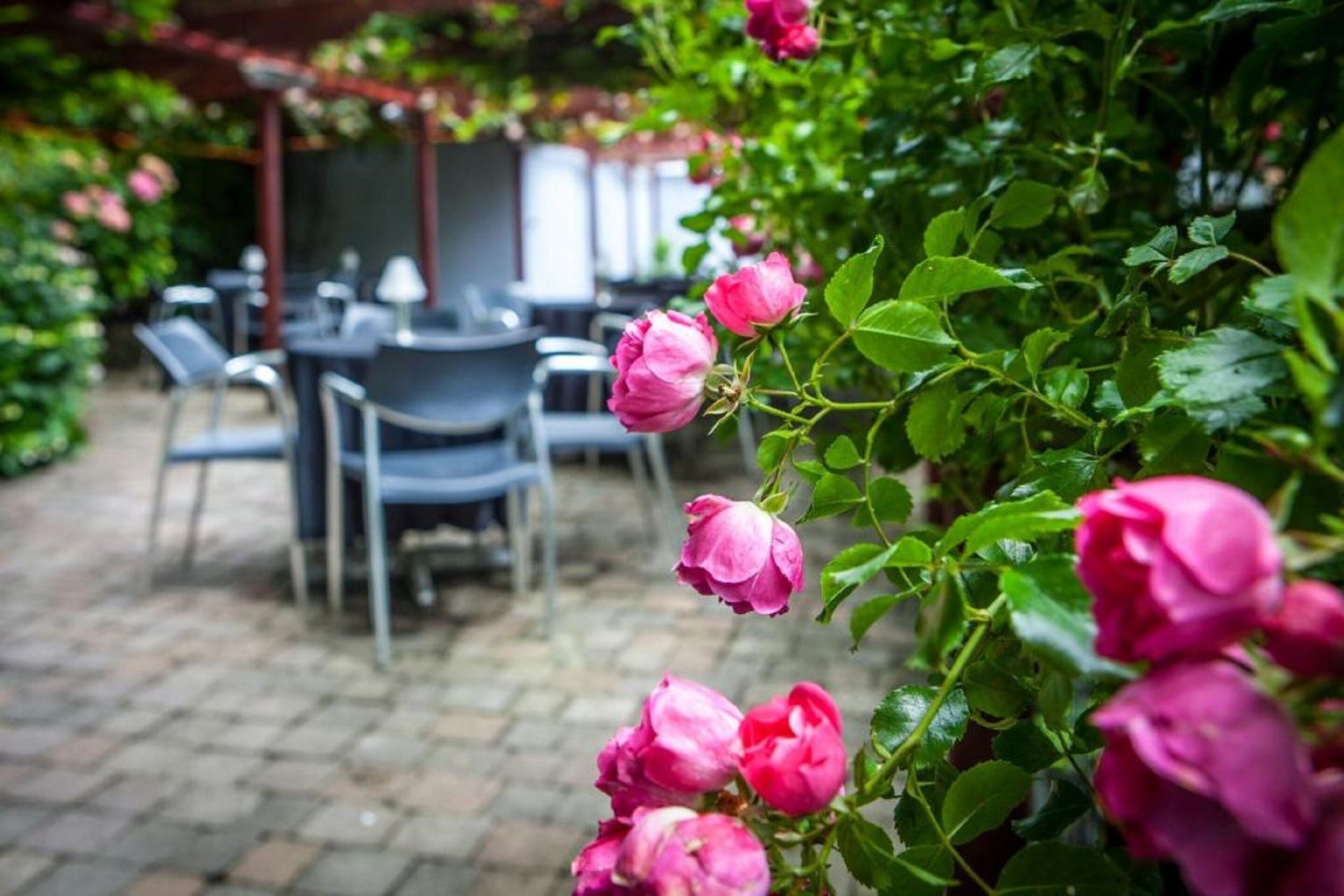 A garden area with a brick patio, tables, and chairs, surrounded by lush greenery and pink roses.