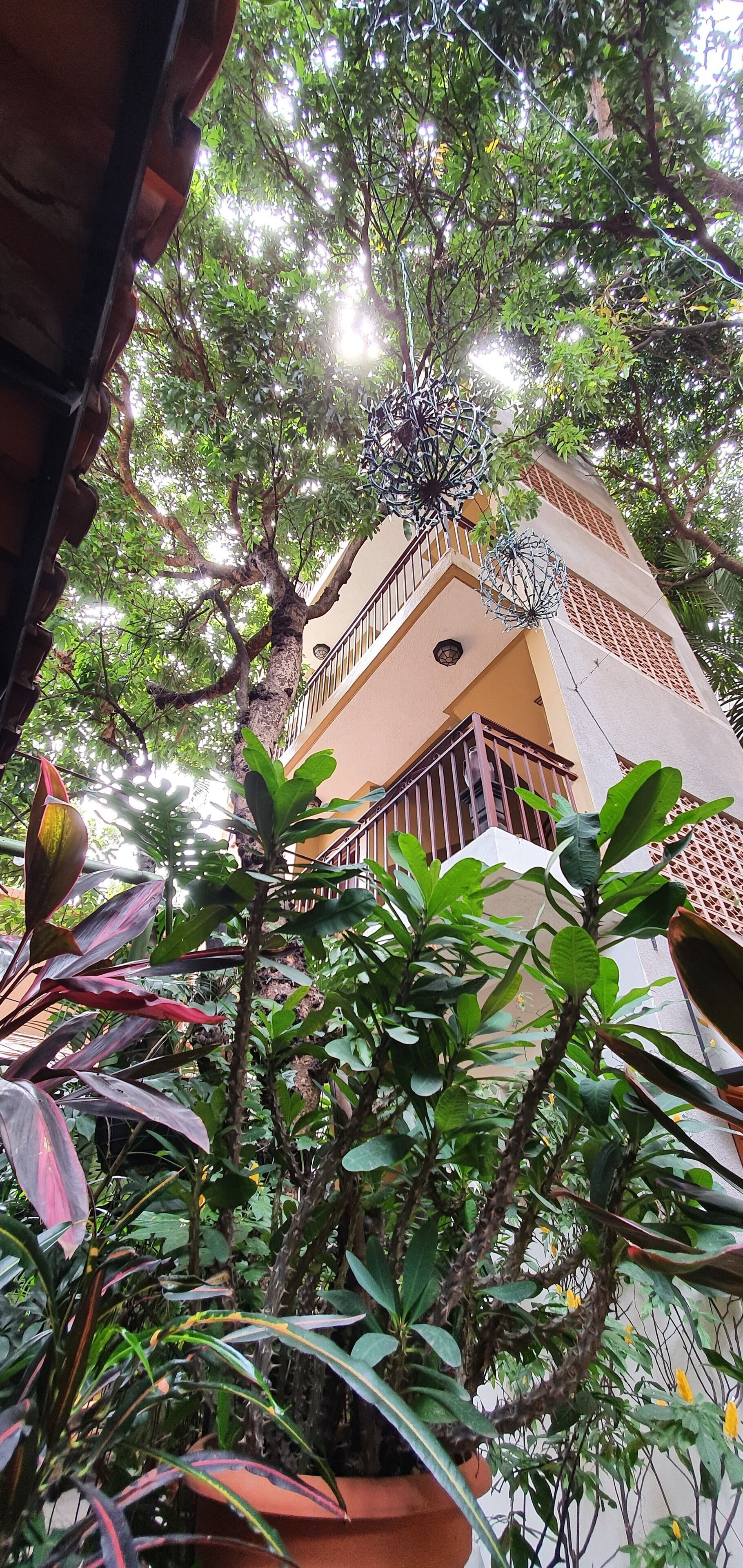 Un edificio con balcón, rodeado de abundante vegetación y plantas en macetas.