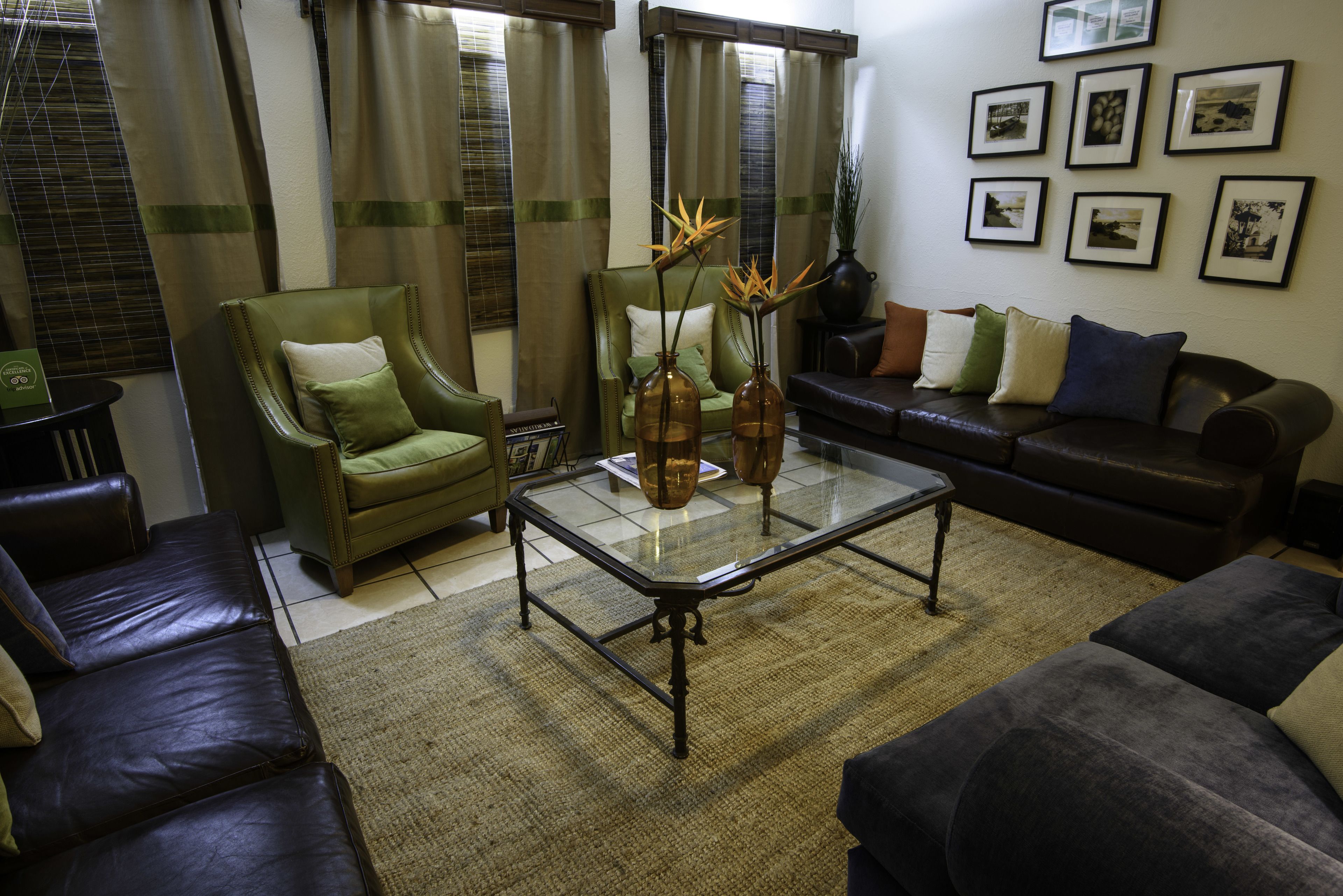A living room with a glass coffee table, green armchair, and a dark leather sofa.