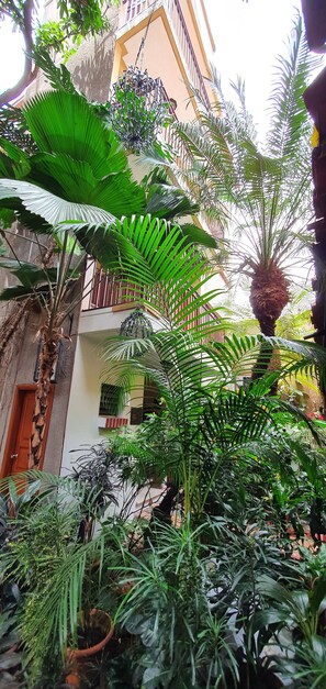 Property grounds - Hotel Humuya Inn (Tegucigalpa)