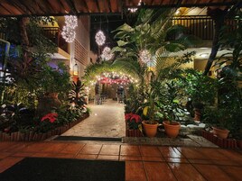 Un sendero interior en un jardín con plantas en macetas y luces colgantes.