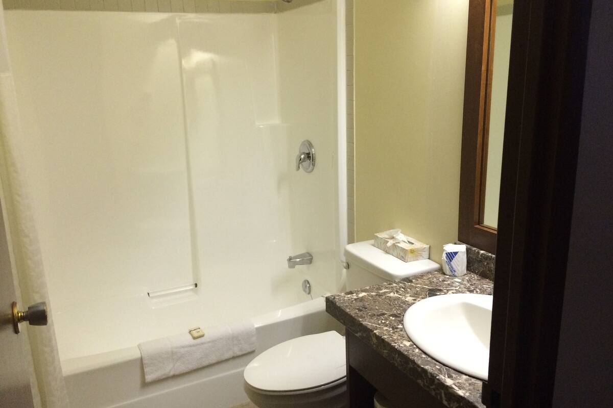 standard room, 1 queen bed | bathroom | combined shower/bathtub, eco-friendly toiletries, hair dryer, towels