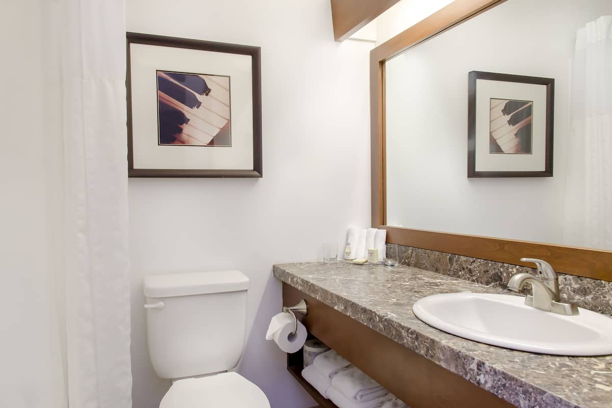 combined shower/bathtub, eco-friendly toiletries, hair dryer, towels