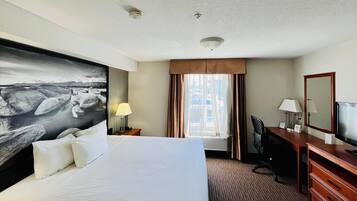 Studio, 1 très grand lit, non-fumeur, cuisine