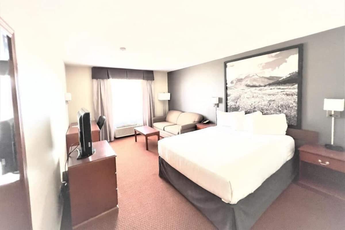 Premium bedding, down duvets, laptop workspace, blackout curtains